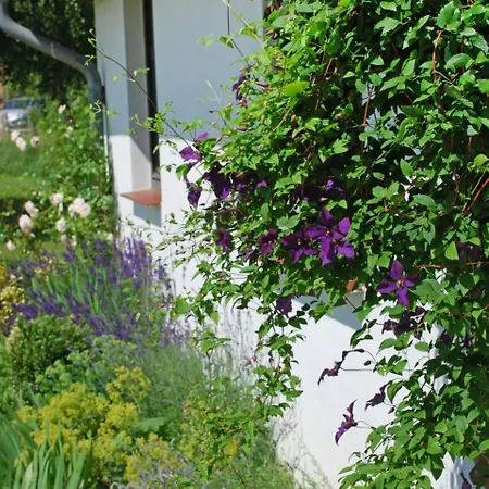 Ruegen By Interhome Lejlighed *